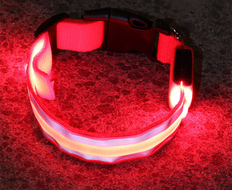 MyLumiPaw™ LED Safety Collar