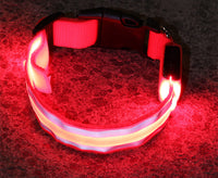 MyLumiPaw™ LED Safety Collar