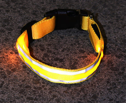 MyLumiPaw™ LED Safety Collar