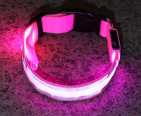 MyLumiPaw™ LED Safety Collar