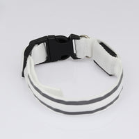 MyLumiPaw™ LED Safety Collar
