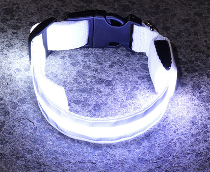 MyLumiPaw™ LED Safety Collar