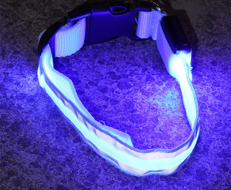 MyLumiPaw™ LED Safety Collar